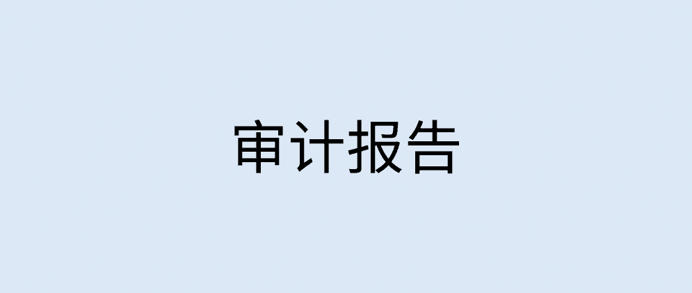 企业财务审计报告具体有哪些类型？