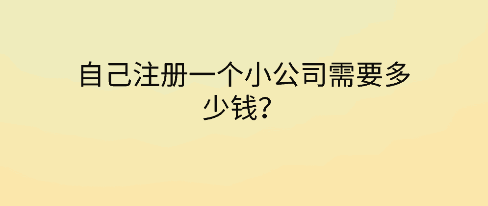 自己注册一个小公司需要多少钱？