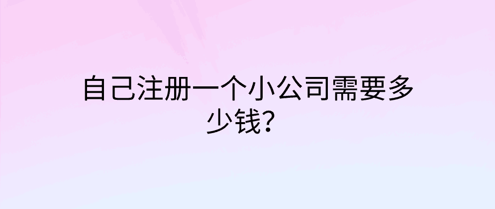 自己注册一个小公司需要多少钱？